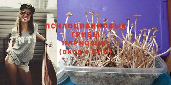 молекула духа Балахна